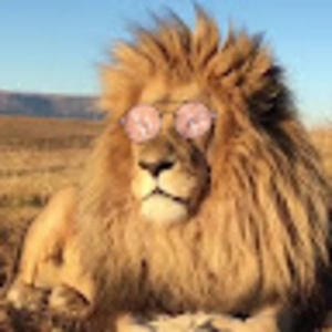 Meet your Posher, Rodney